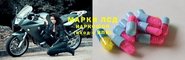 spice Вяземский