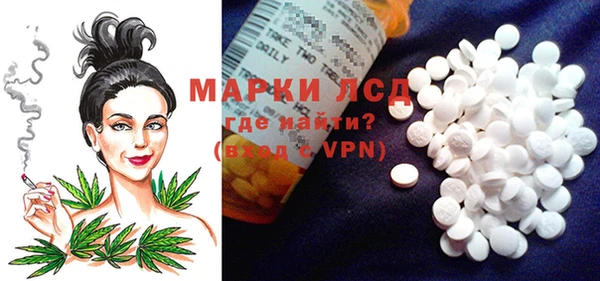 spice Вяземский