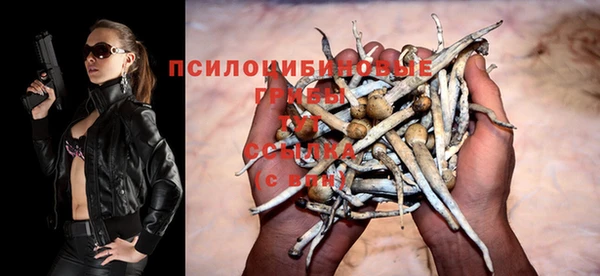 spice Вяземский