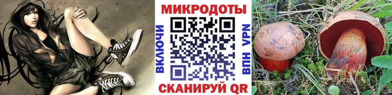 Галлюциногенные грибы Psilocybe  Ярцево 